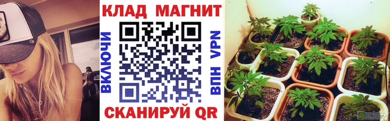 Все наркотики Тихорецк KRAKEN как войти  МЕТАДОН  Мефедрон  Конопля  Кокаин  ГАШИШ 