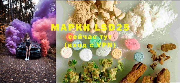 PSILOCYBIN Мегион
