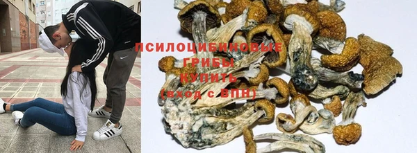 мдма Медногорск