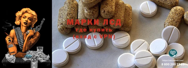 PSILOCYBIN Мегион