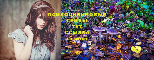 PSILOCYBIN Мегион