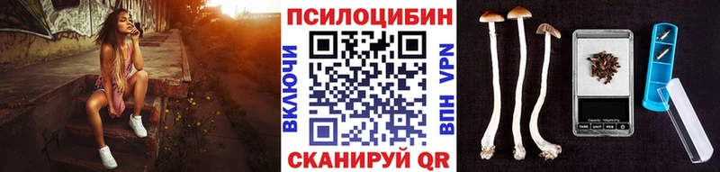 Псилоцибиновые грибы мицелий Тихорецк